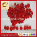 Hot Sale Best Quality Dired Cherry